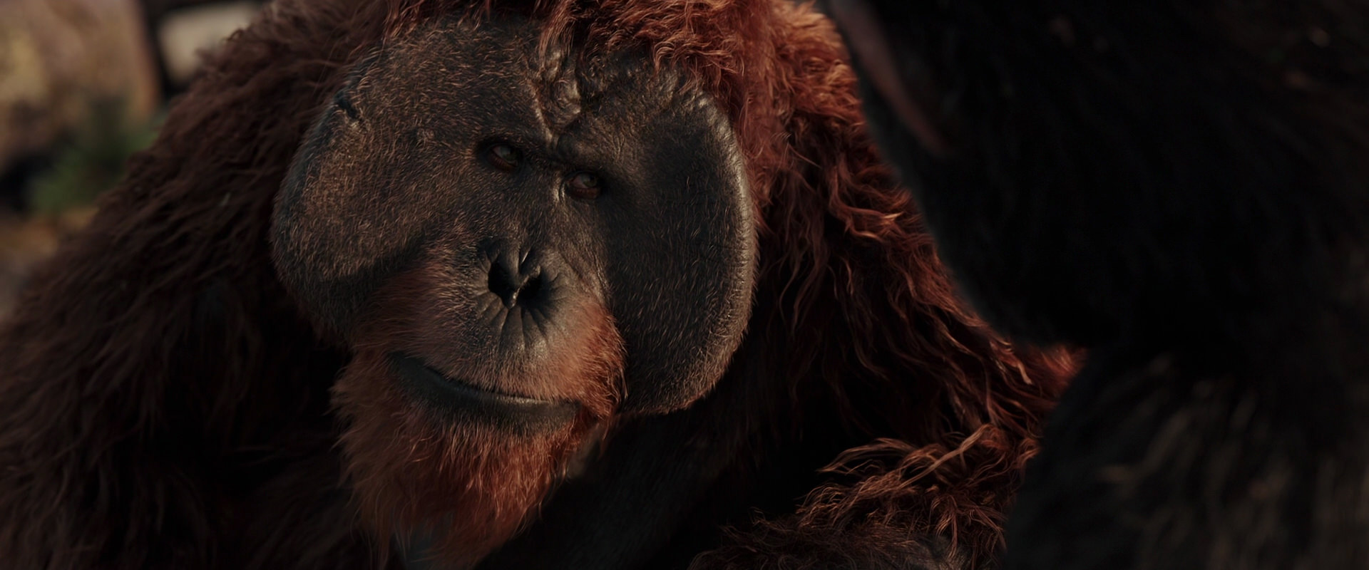 War for the Planet of the Apes (2017) movie still 15448