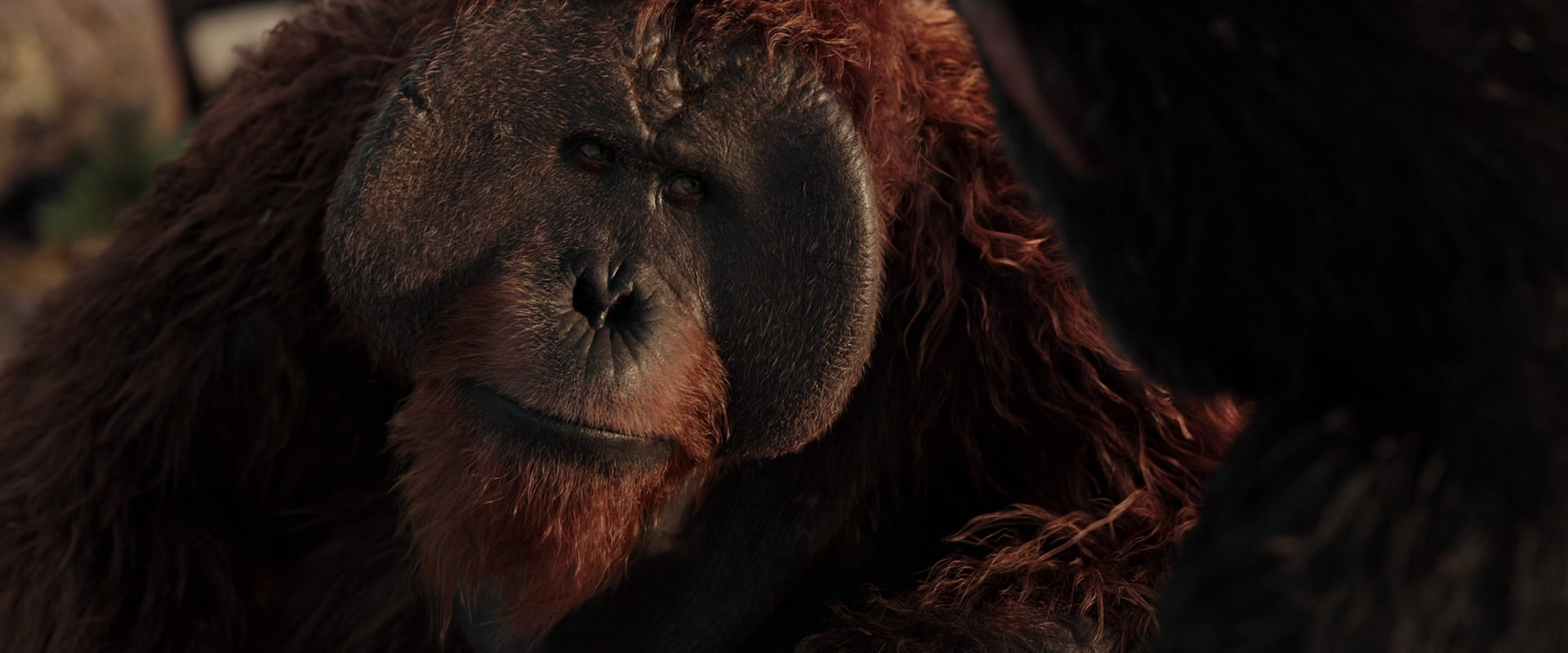 War for the Planet of the Apes (2017) HD screenshot 15449