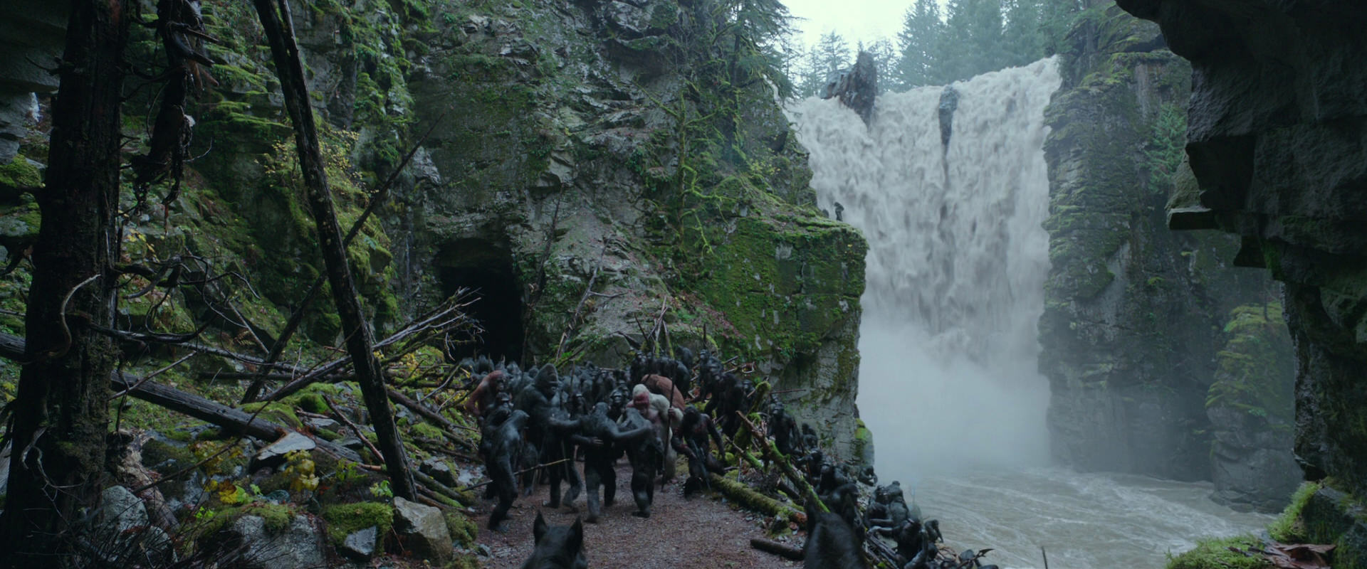 War for the Planet of the Apes (2017) screencap 1545