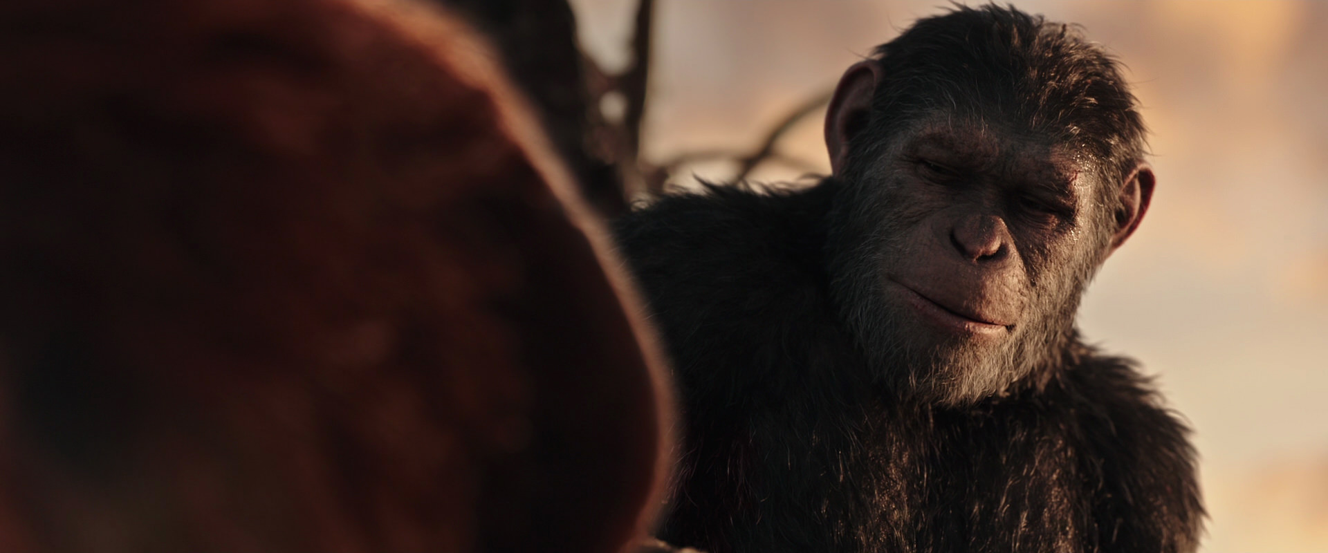 War for the Planet of the Apes (2017) screencap 15450