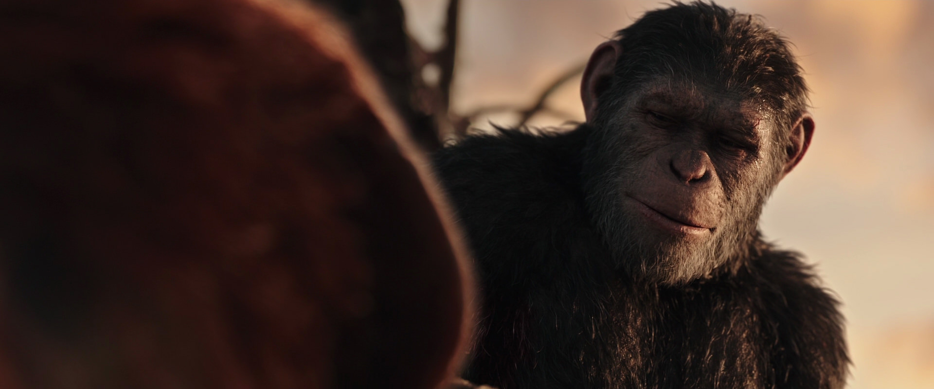 War for the Planet of the Apes (2017) movie still 15451