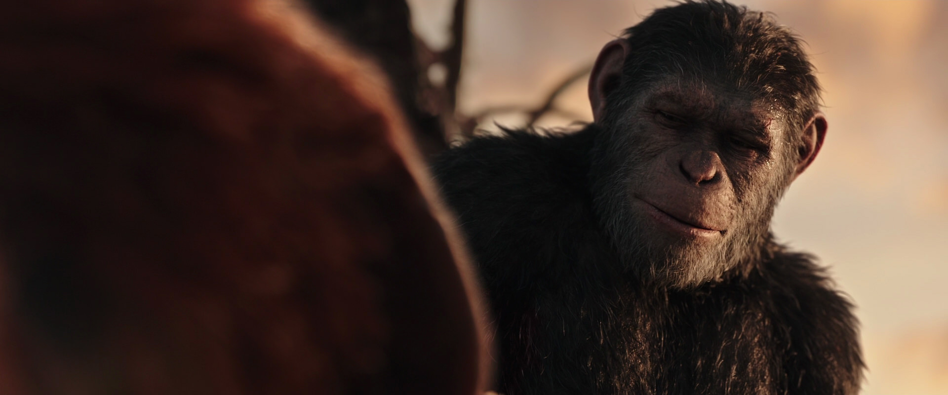 War for the Planet of the Apes (2017) HD screenshot 15452