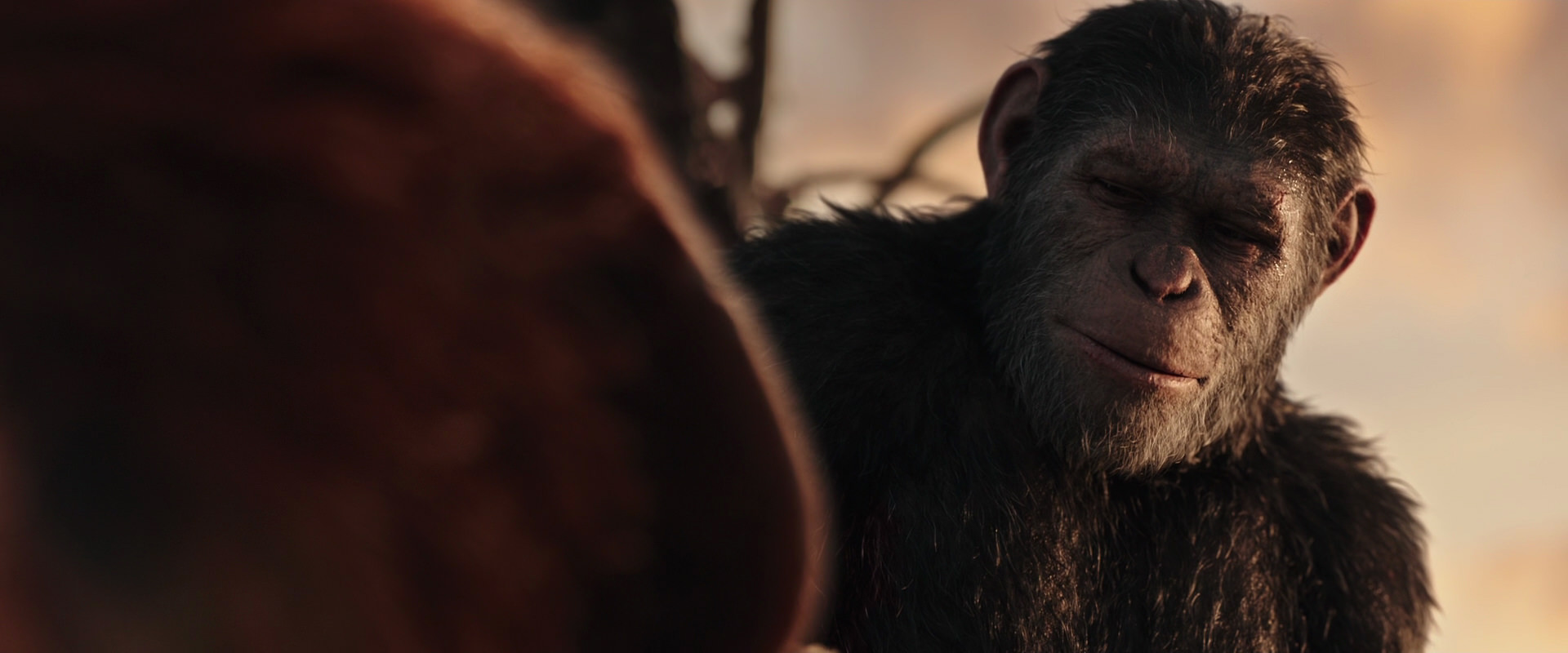 War for the Planet of the Apes (2017) screencap 15453