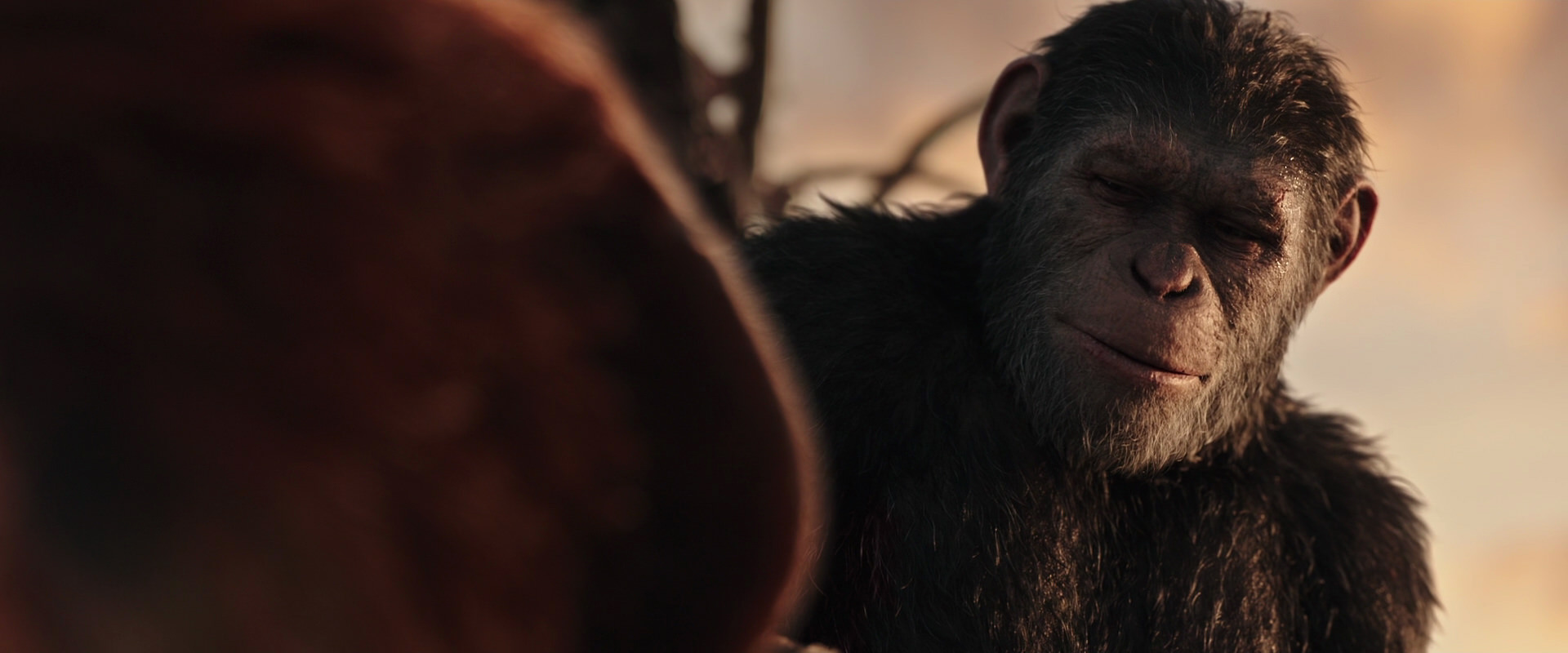War for the Planet of the Apes (2017) movie still 15454