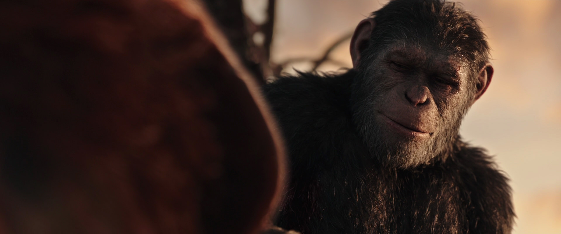 War for the Planet of the Apes (2017) HD screenshot 15455