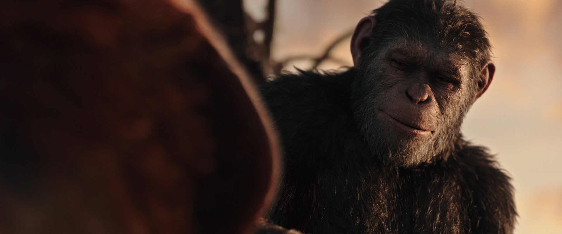 War for the Planet of the Apes (2017) screencap 15456