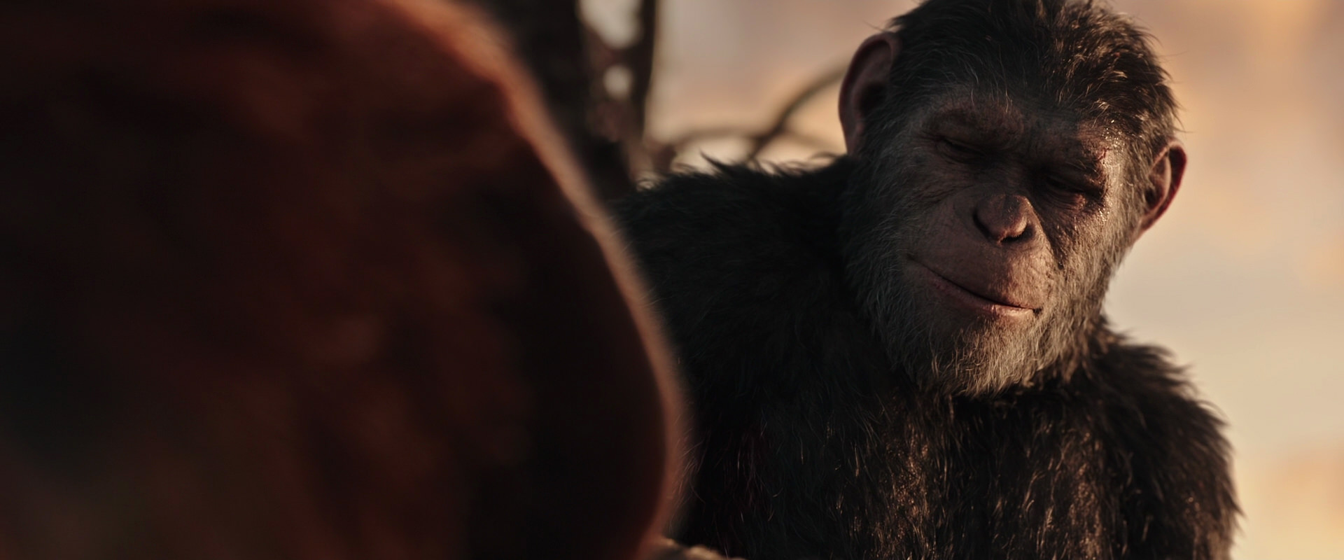 War for the Planet of the Apes (2017) movie still 15457