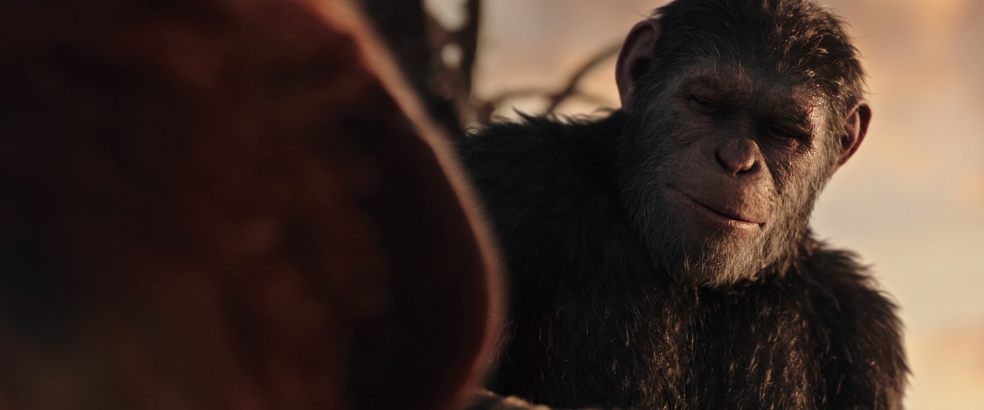War for the Planet of the Apes (2017) HD screenshot 15458