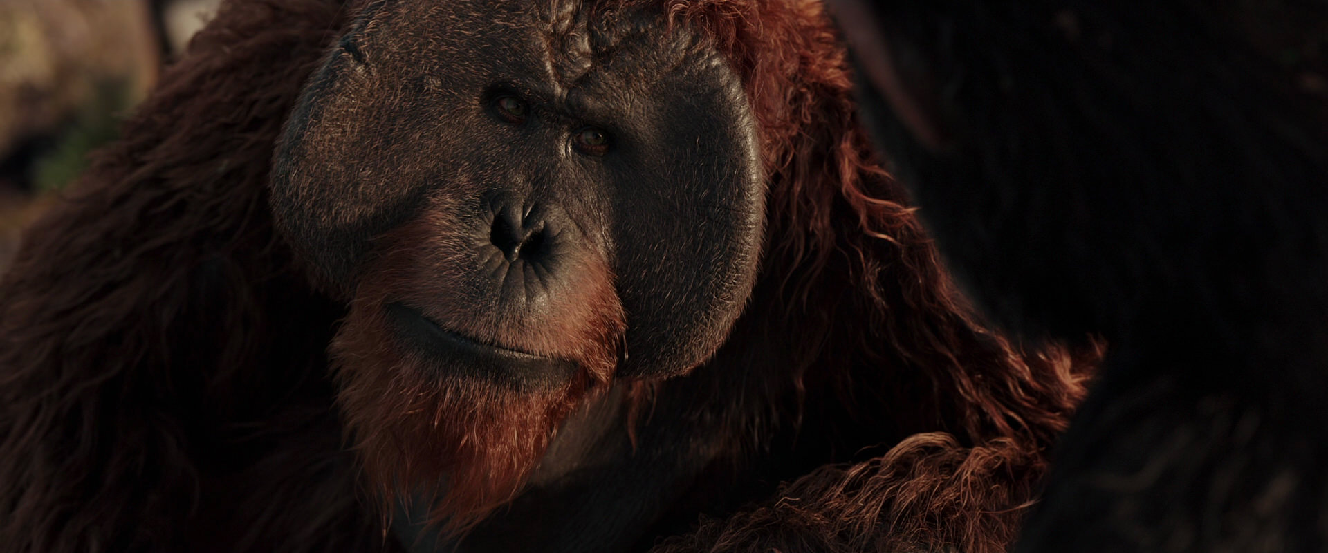 War for the Planet of the Apes (2017) screencap 15459