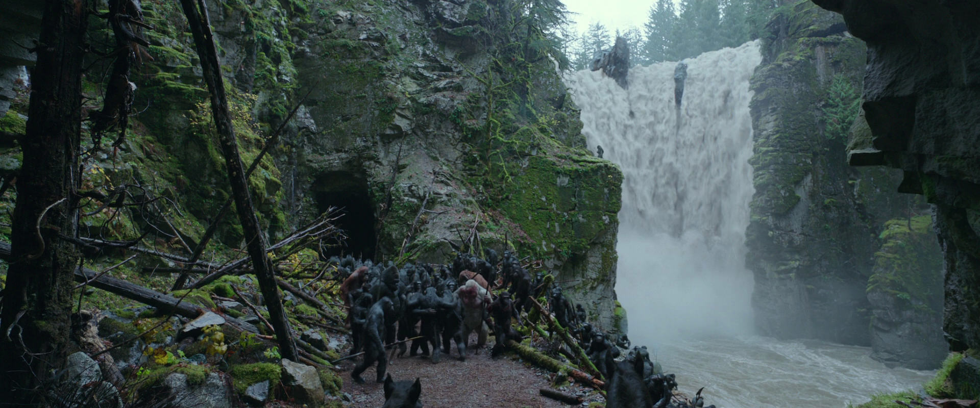 War for the Planet of the Apes (2017) movie still 1546