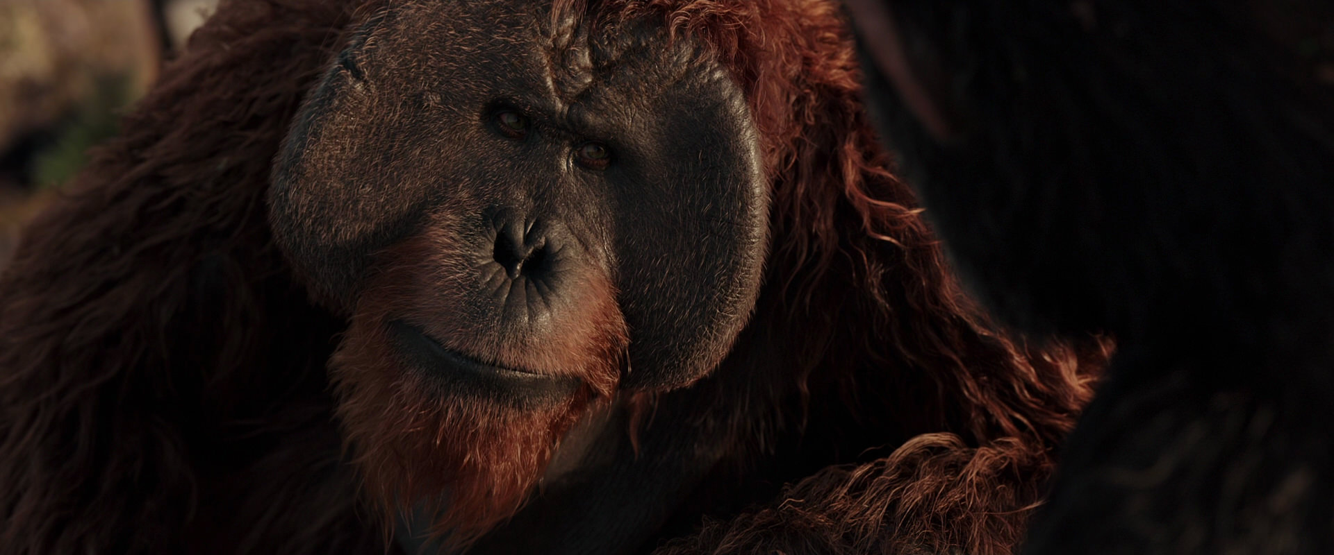 War for the Planet of the Apes (2017) movie still 15460