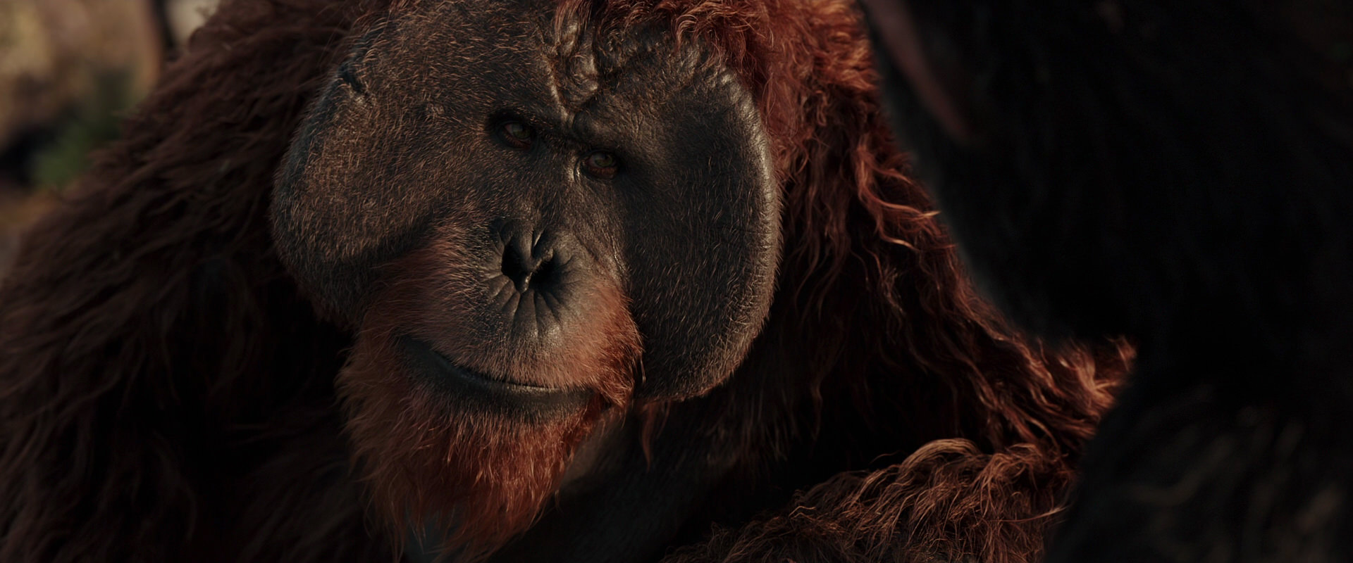 War for the Planet of the Apes (2017) HD screenshot 15461
