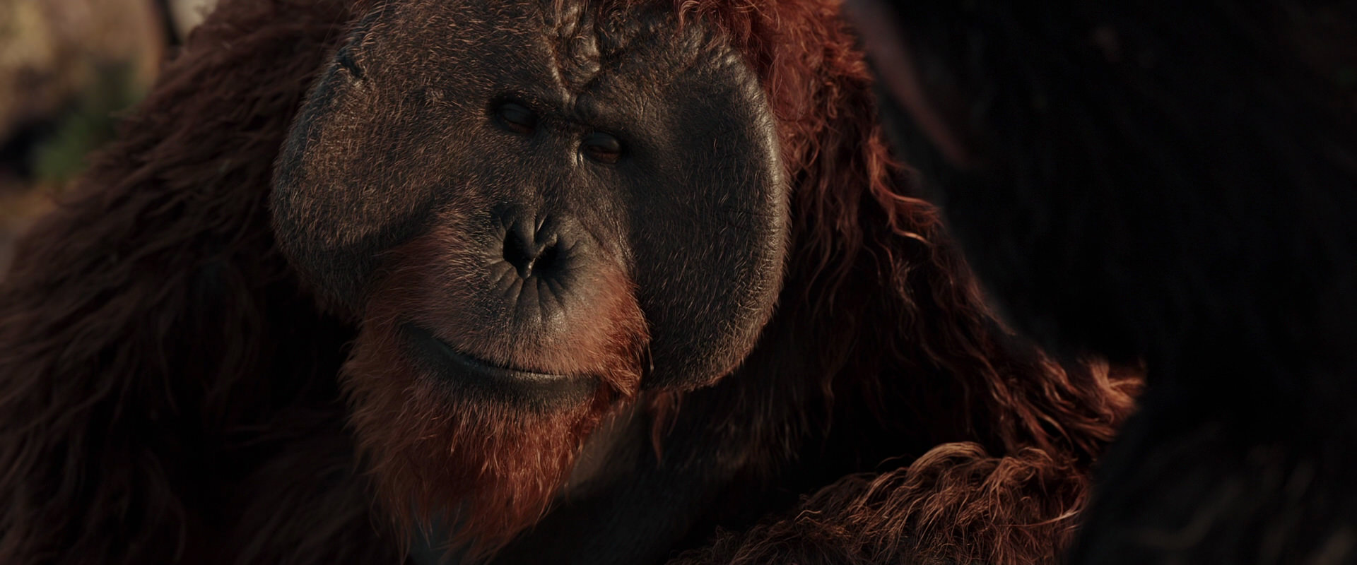War for the Planet of the Apes (2017) movie still 15463