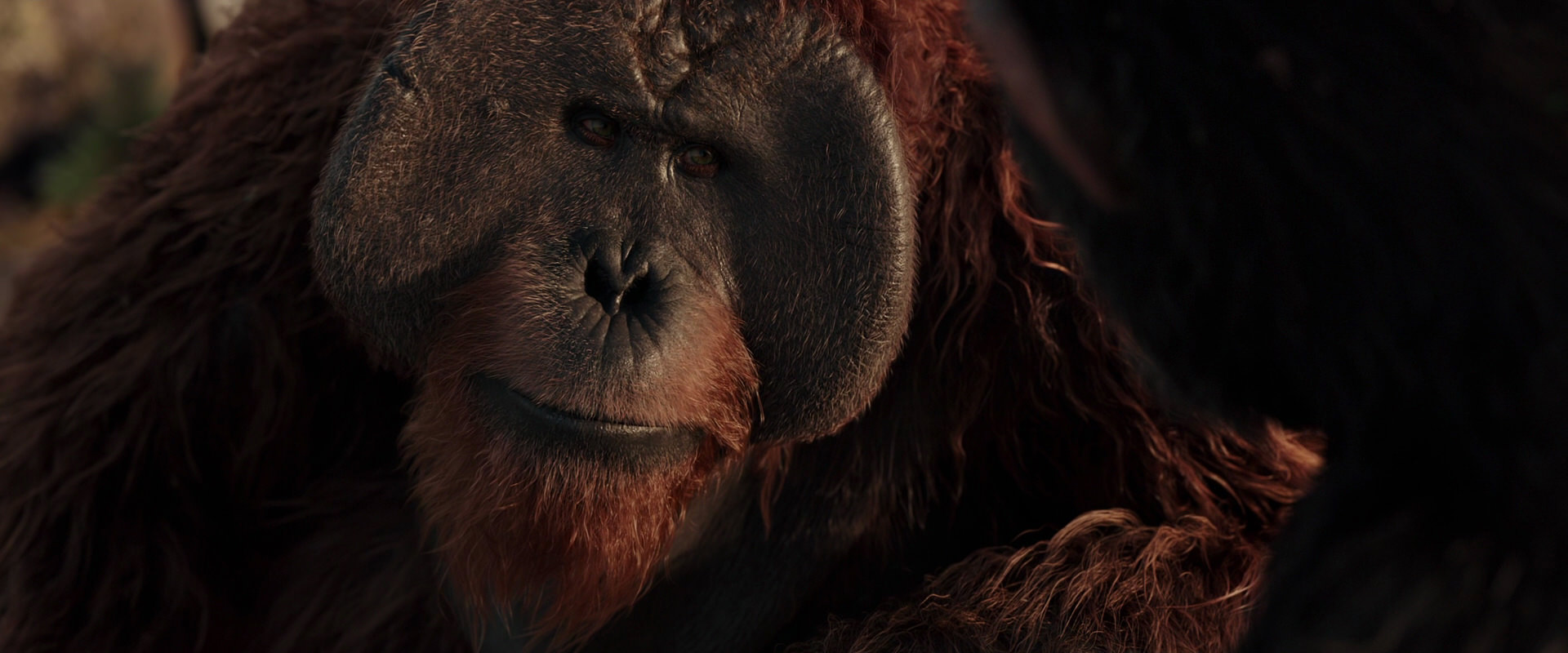 War for the Planet of the Apes (2017) HD screenshot 15464
