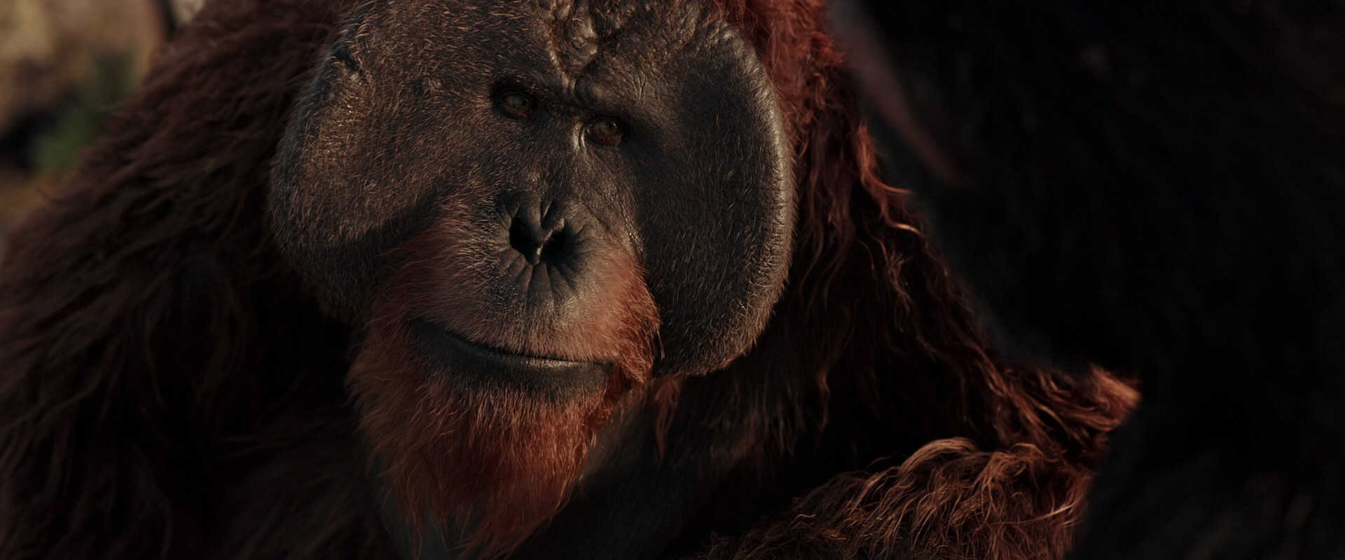 War for the Planet of the Apes (2017) screencap 15465