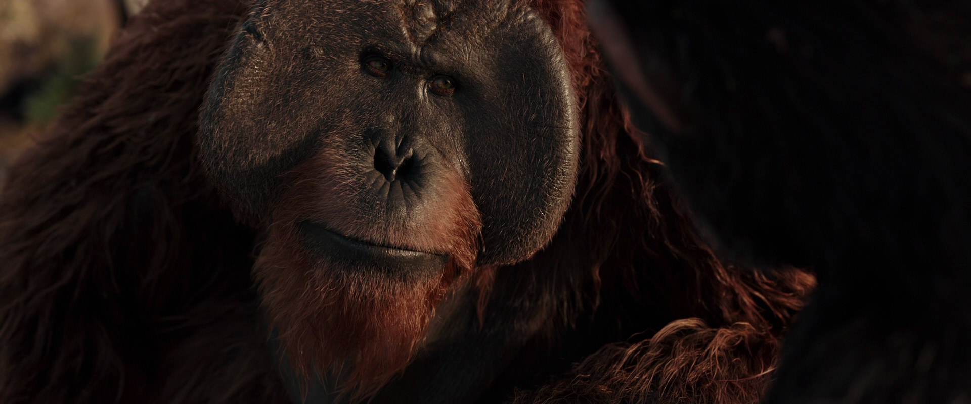 War for the Planet of the Apes (2017) movie still 15466