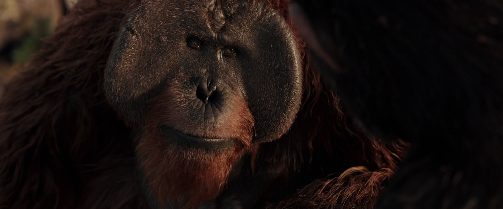 War for the Planet of the Apes (2017) HD screenshot 15467