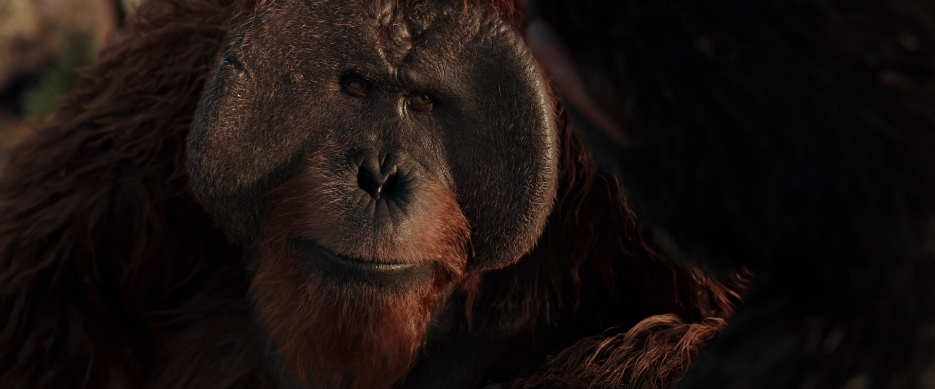 War for the Planet of the Apes (2017) screencap 15468