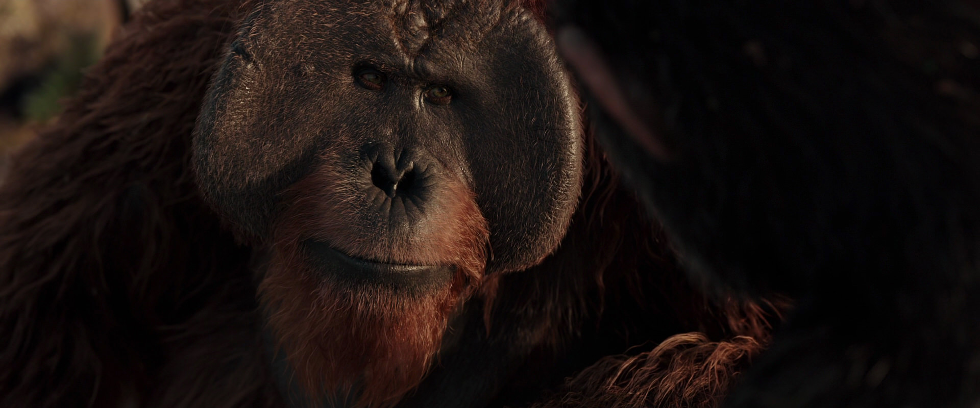War for the Planet of the Apes (2017) movie still 15469