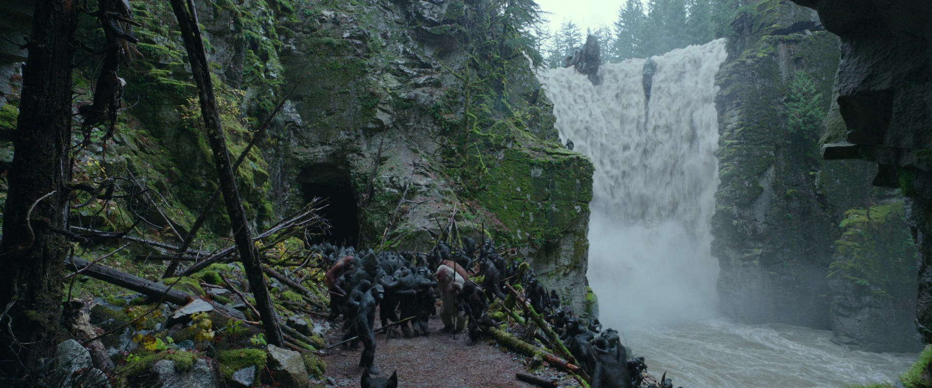 War for the Planet of the Apes (2017) HD screenshot 1547