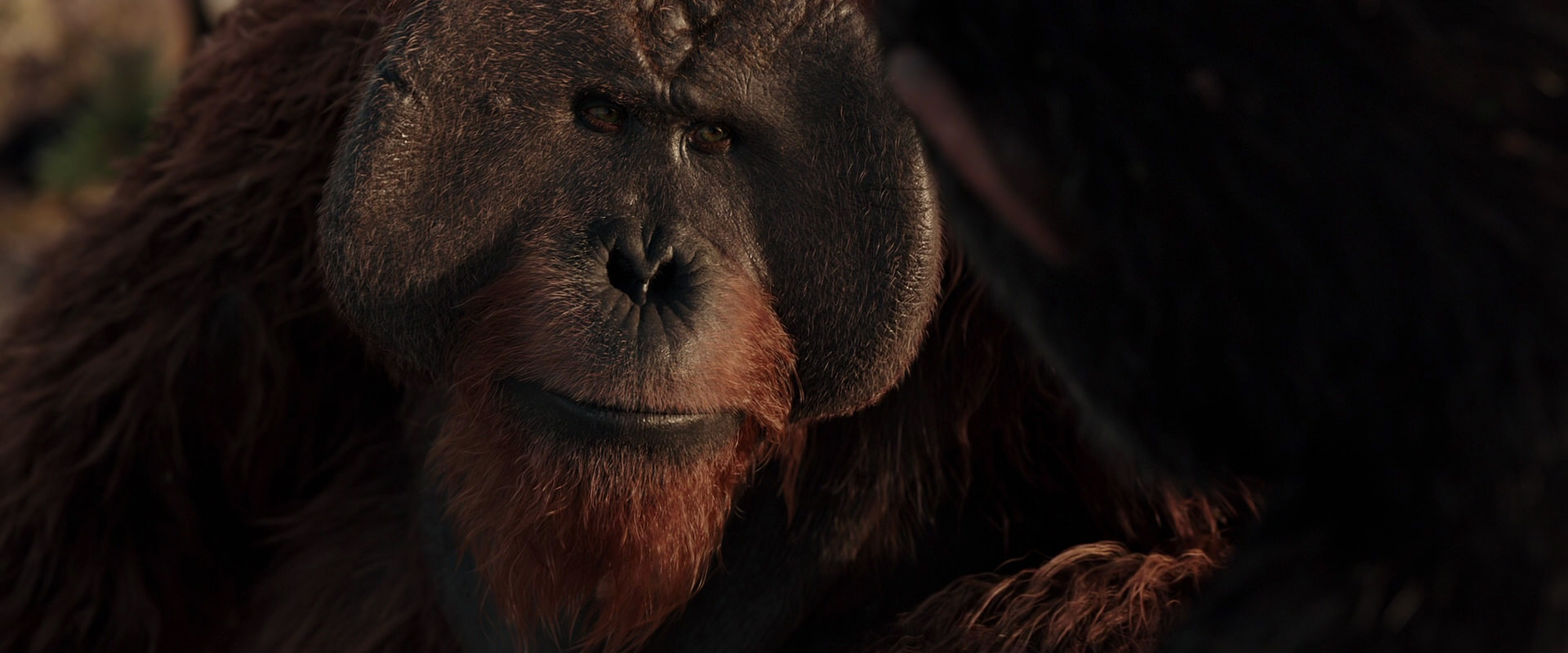 War for the Planet of the Apes (2017) HD screenshot 15470