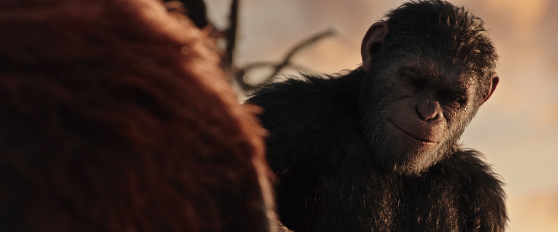 War for the Planet of the Apes (2017) screencap 15471