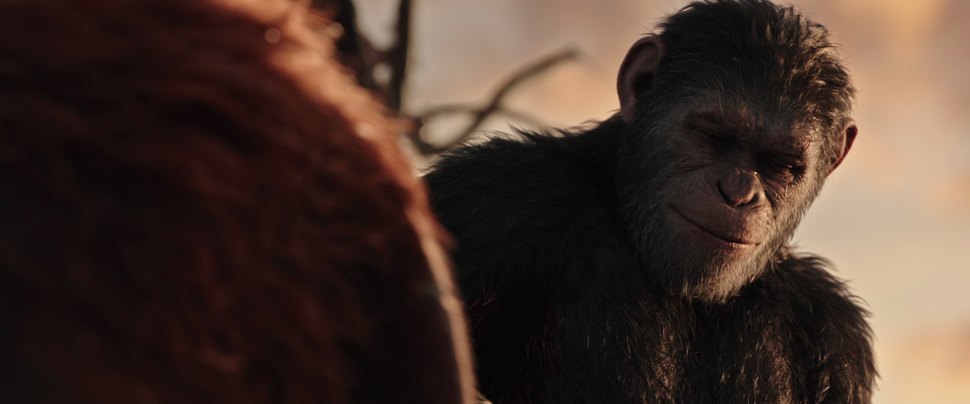 War for the Planet of the Apes (2017) movie still 15472