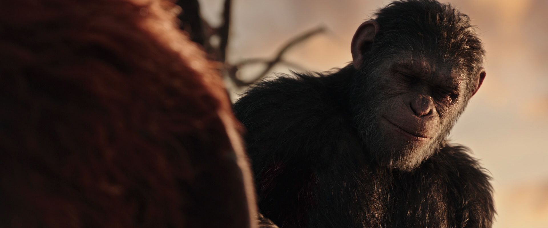 War for the Planet of the Apes (2017) HD screenshot 15473