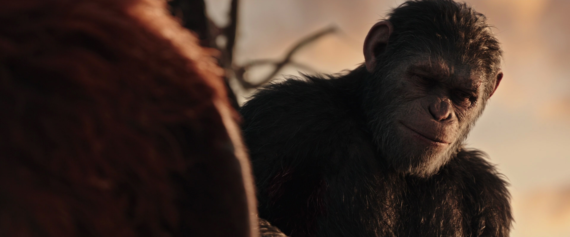 War for the Planet of the Apes (2017) screencap 15474