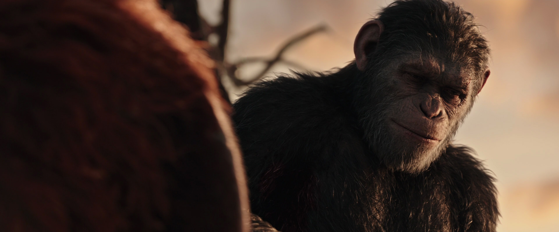 War for the Planet of the Apes (2017) movie still 15475