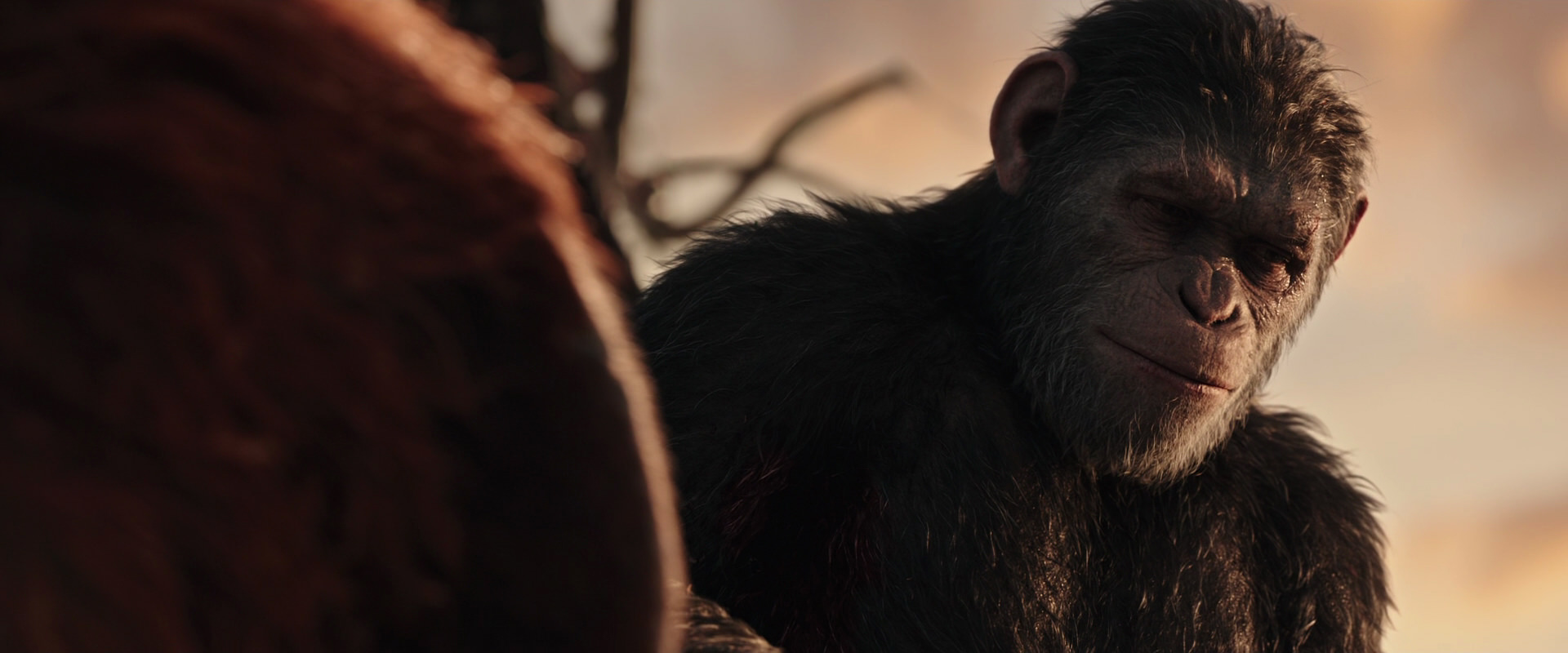 War for the Planet of the Apes (2017) HD screenshot 15476