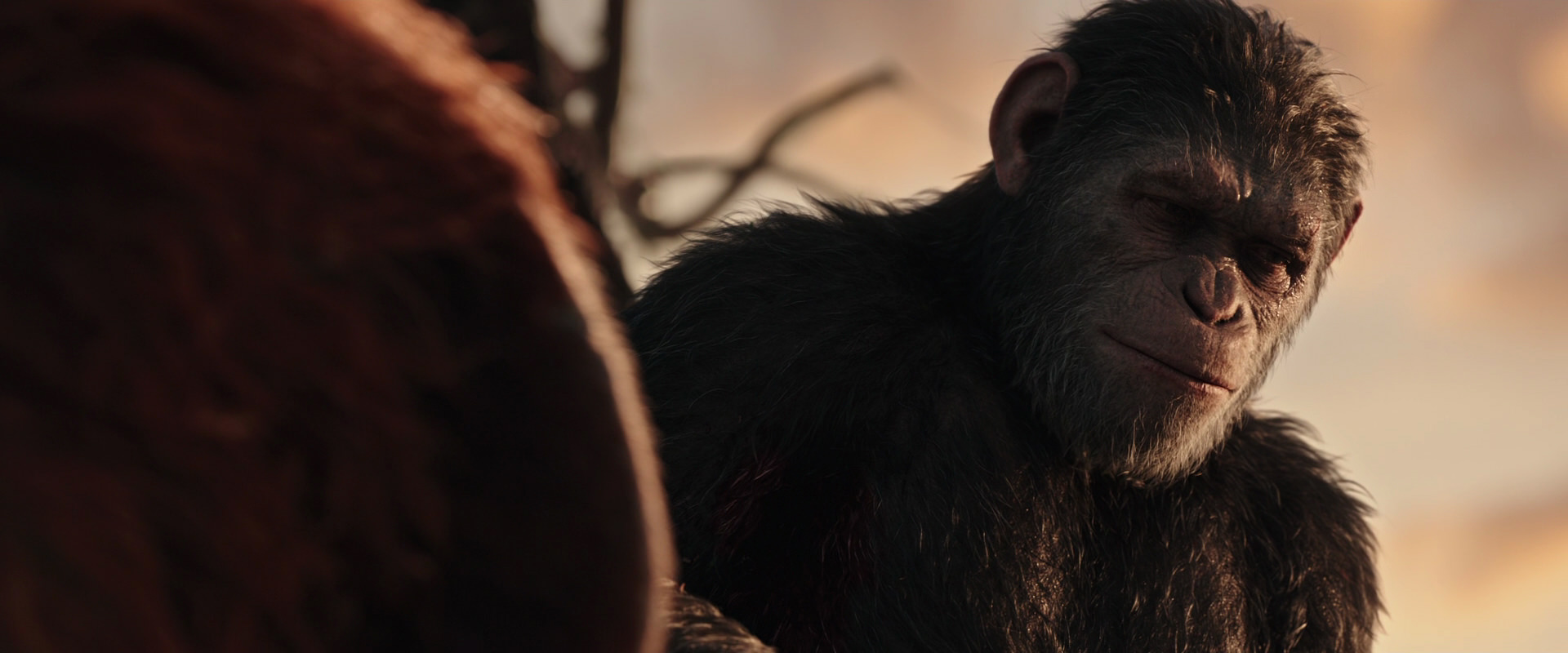 War for the Planet of the Apes (2017) screencap 15477