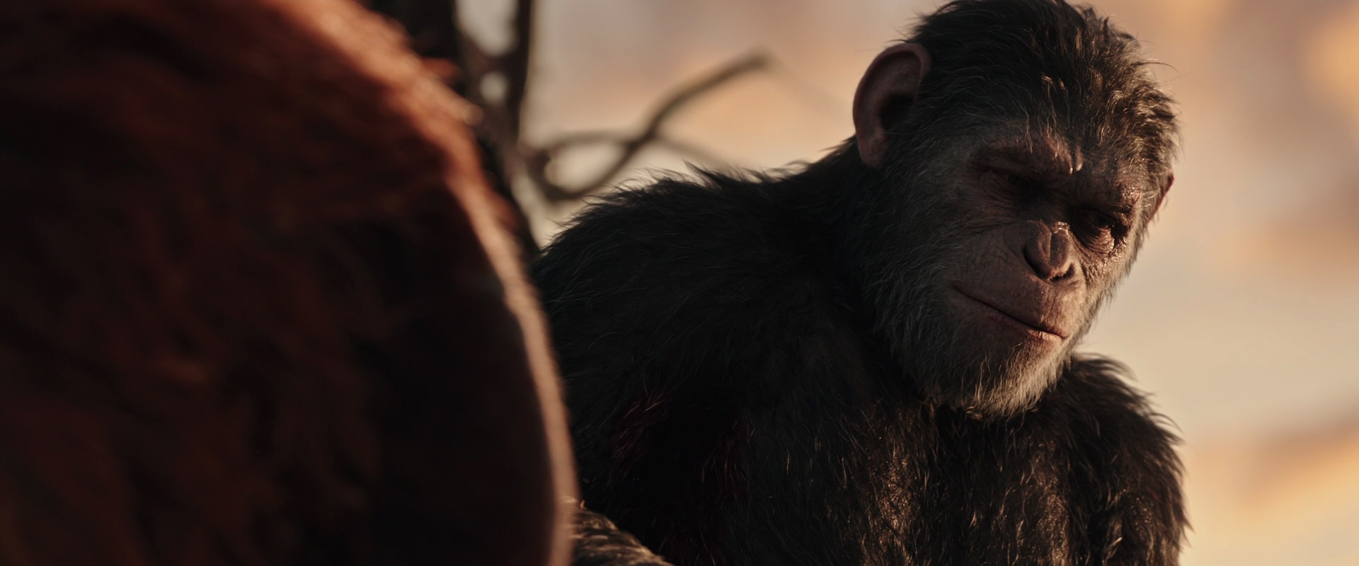 War for the Planet of the Apes (2017) movie still 15478