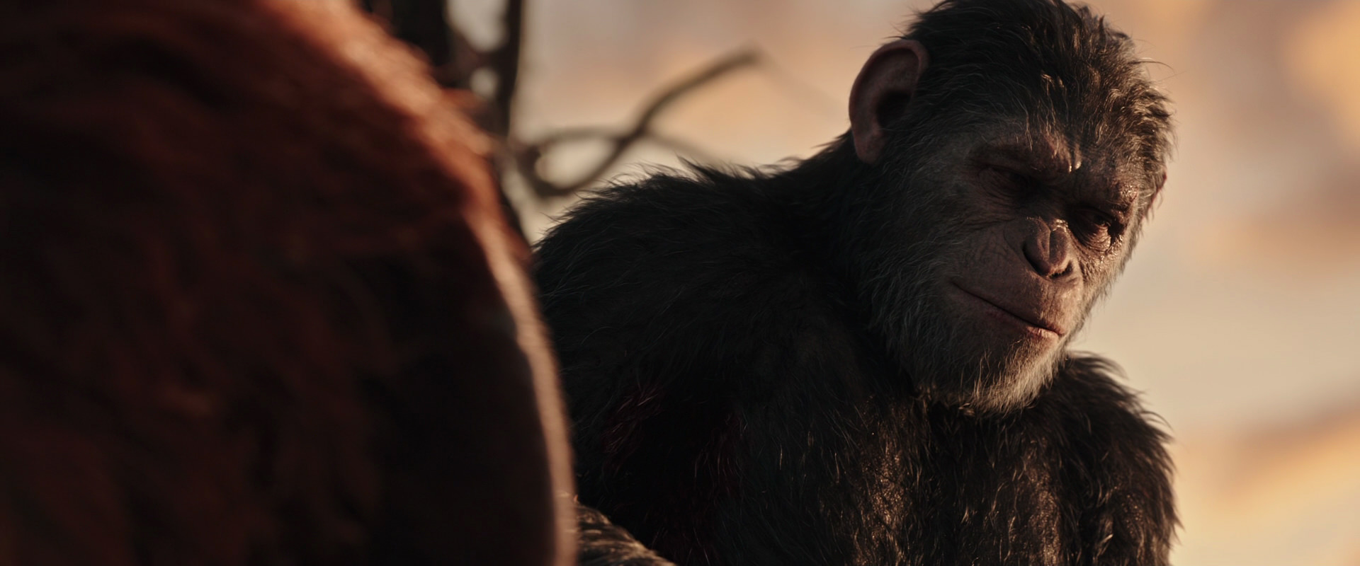 War for the Planet of the Apes (2017) HD screenshot 15479