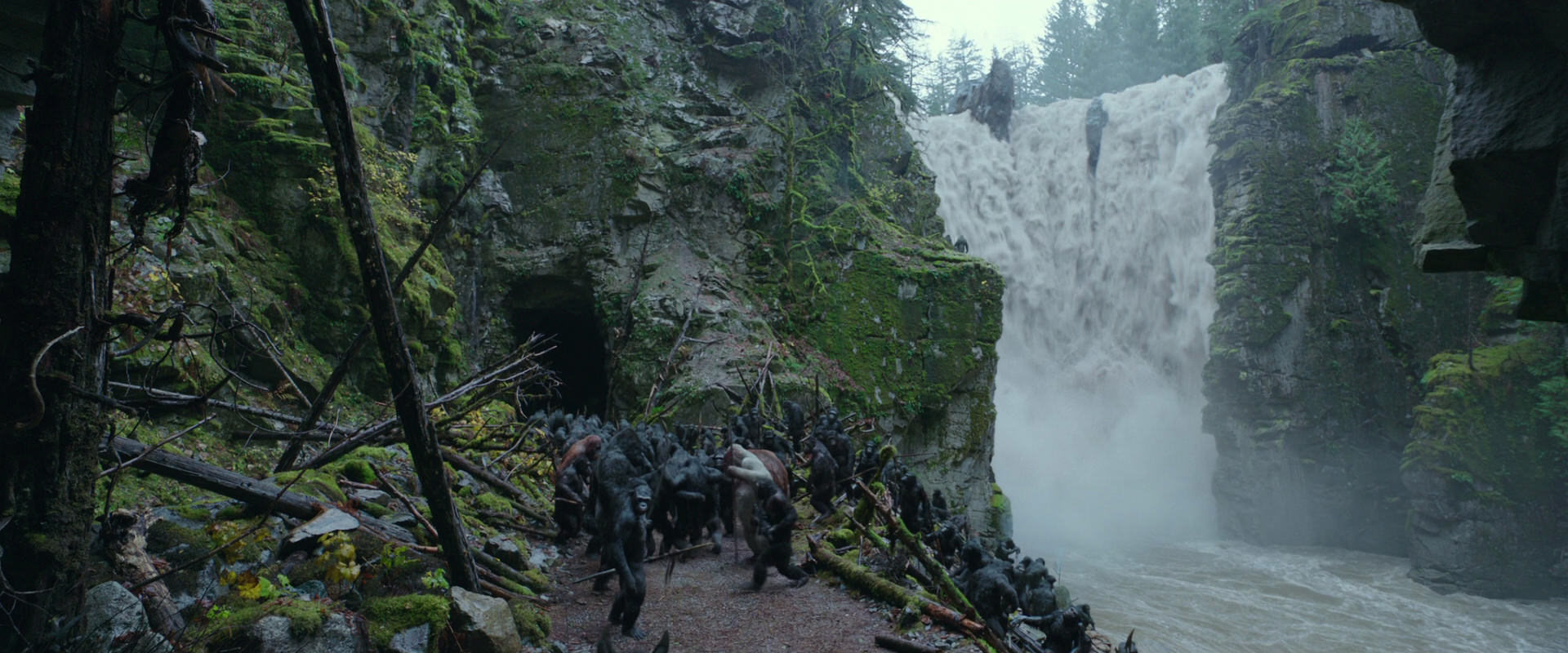 War for the Planet of the Apes (2017) screencap 1548