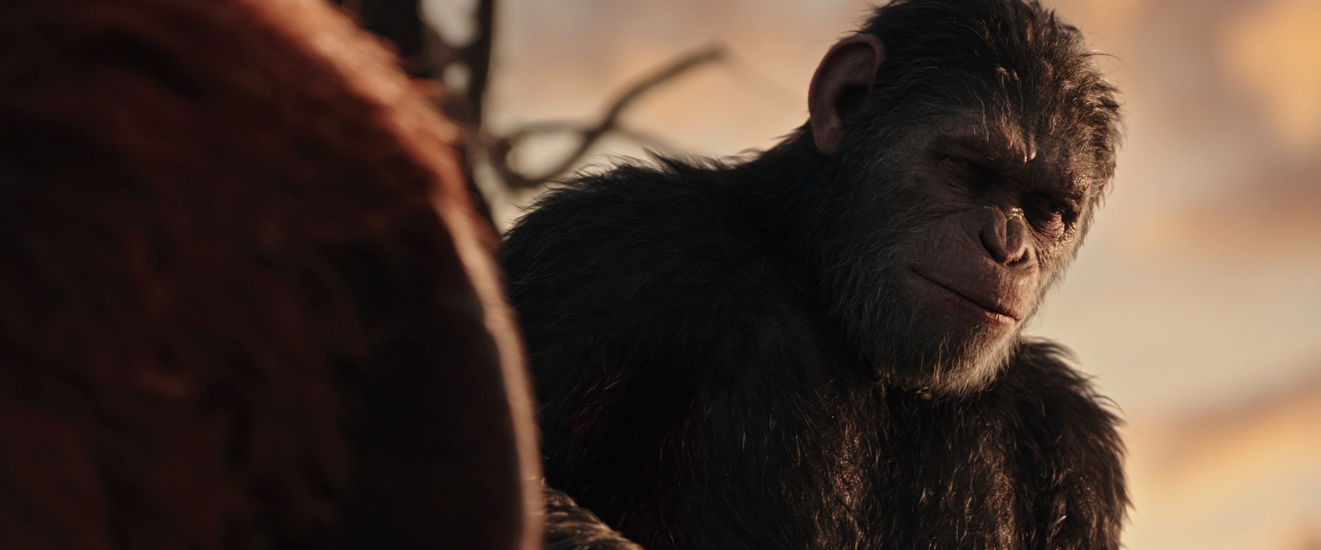 War for the Planet of the Apes (2017) screencap 15480