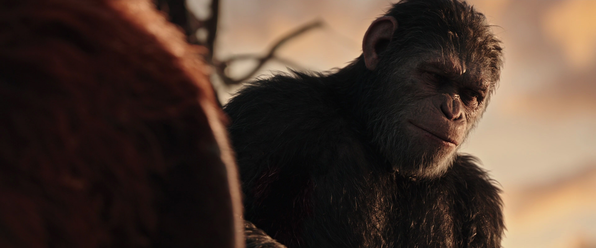 War for the Planet of the Apes (2017) movie still 15481