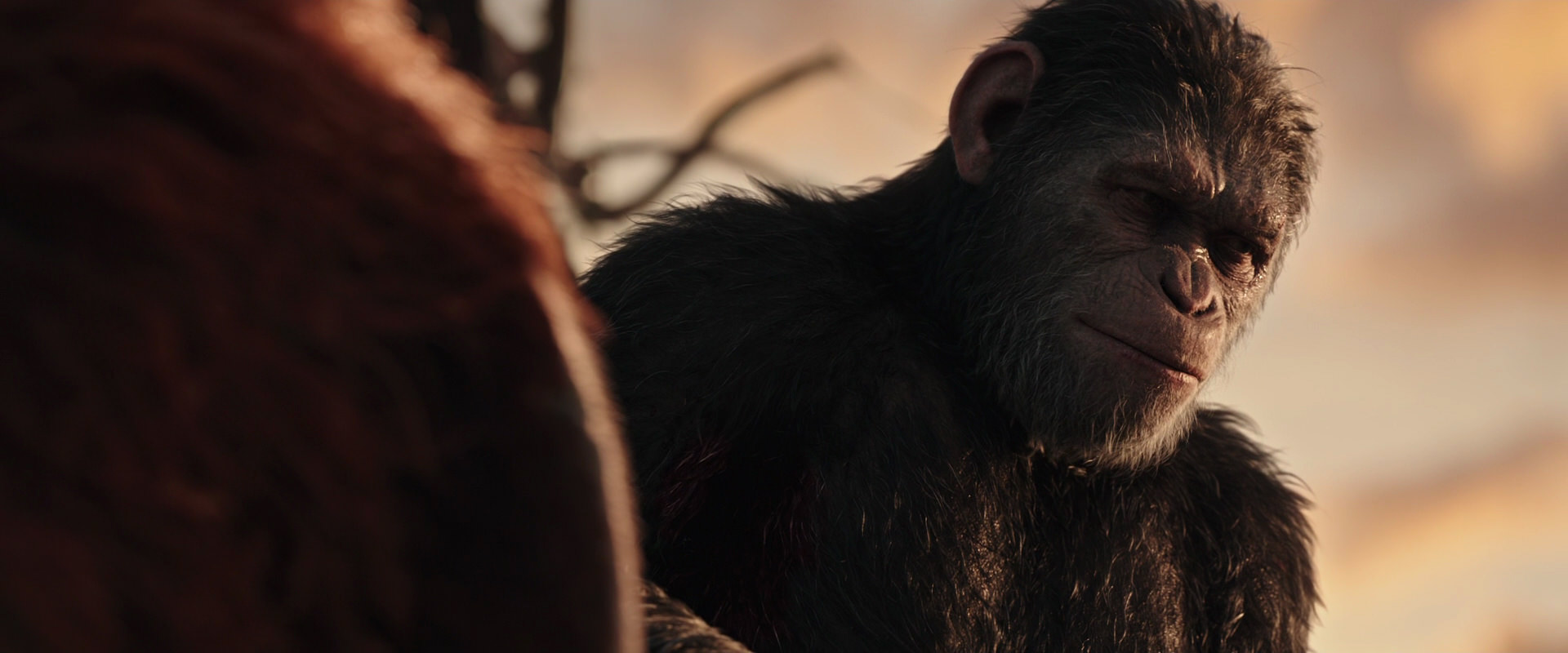 War for the Planet of the Apes (2017) HD screenshot 15482