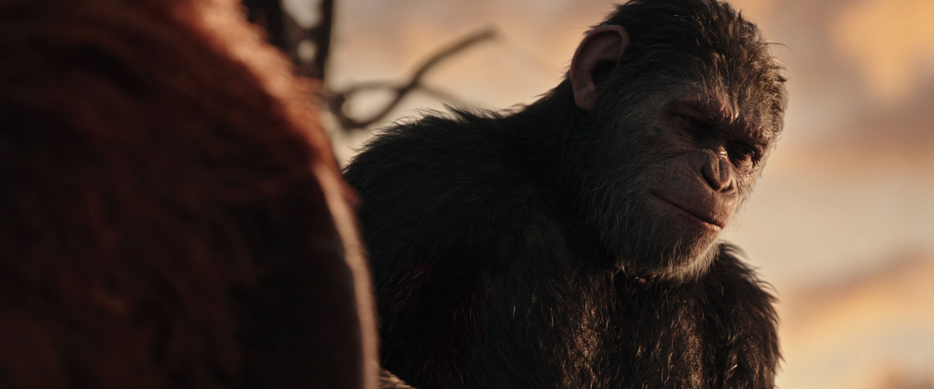 War for the Planet of the Apes (2017) screencap 15483