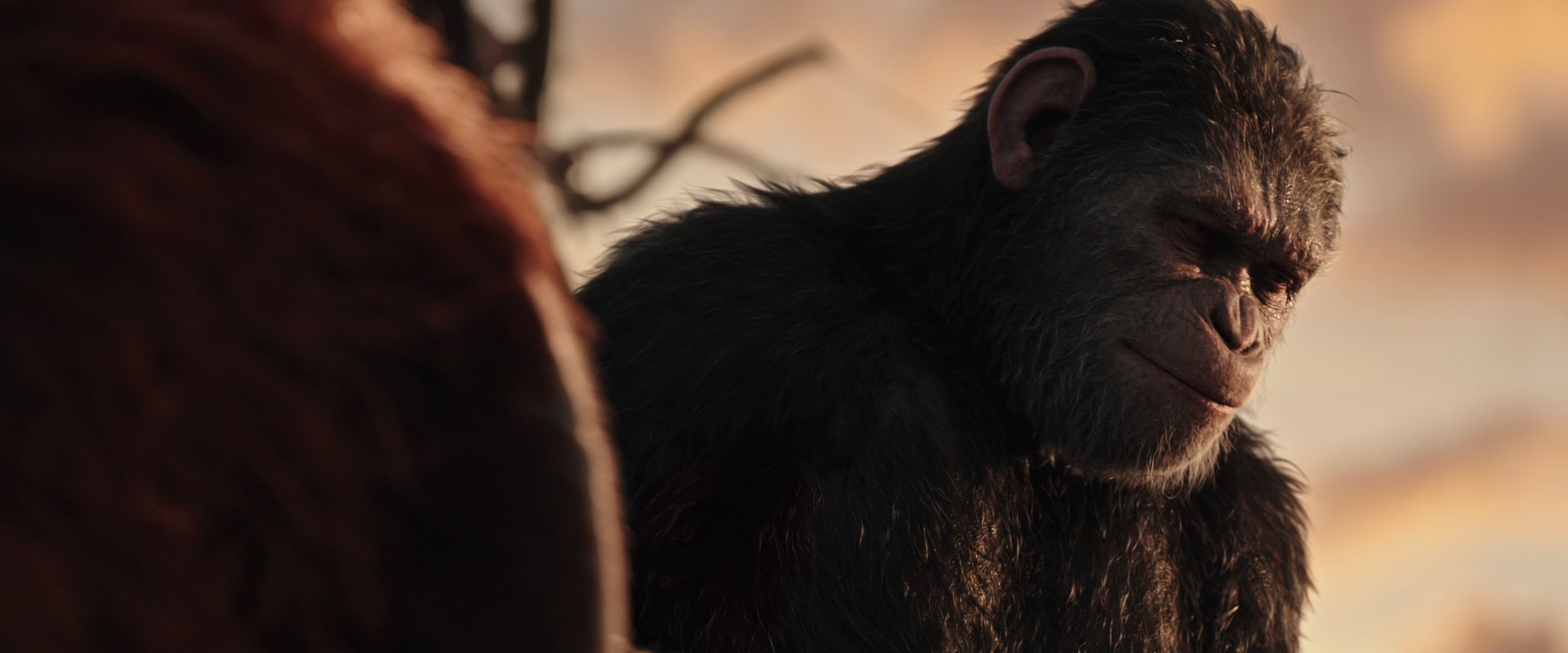 War for the Planet of the Apes (2017) movie still 15484