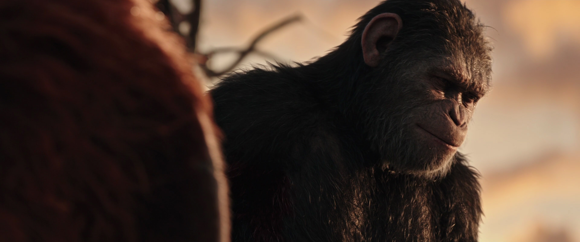 War for the Planet of the Apes (2017) HD screenshot 15485