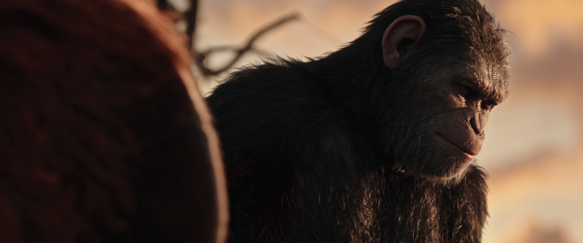 War for the Planet of the Apes (2017) screencap 15486
