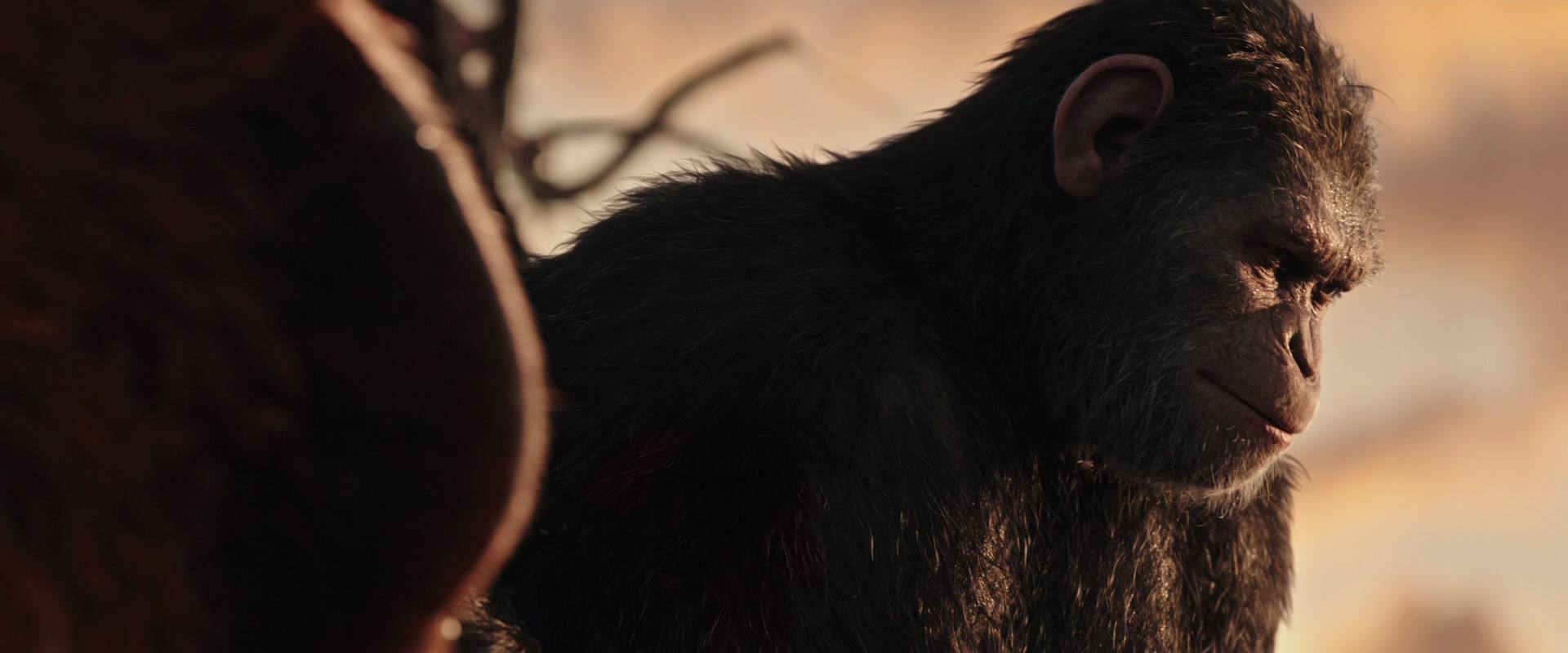 War for the Planet of the Apes (2017) movie still 15487