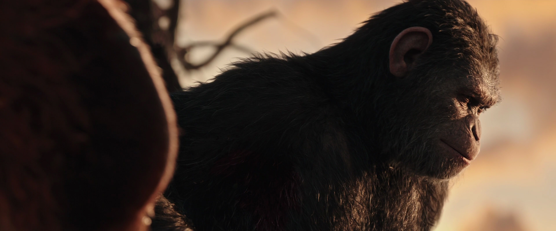 War for the Planet of the Apes (2017) HD screenshot 15488