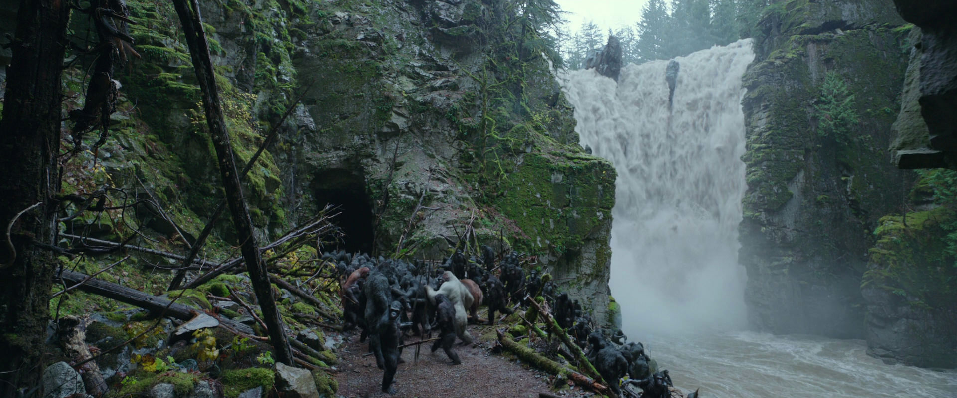 War for the Planet of the Apes (2017) movie still 1549
