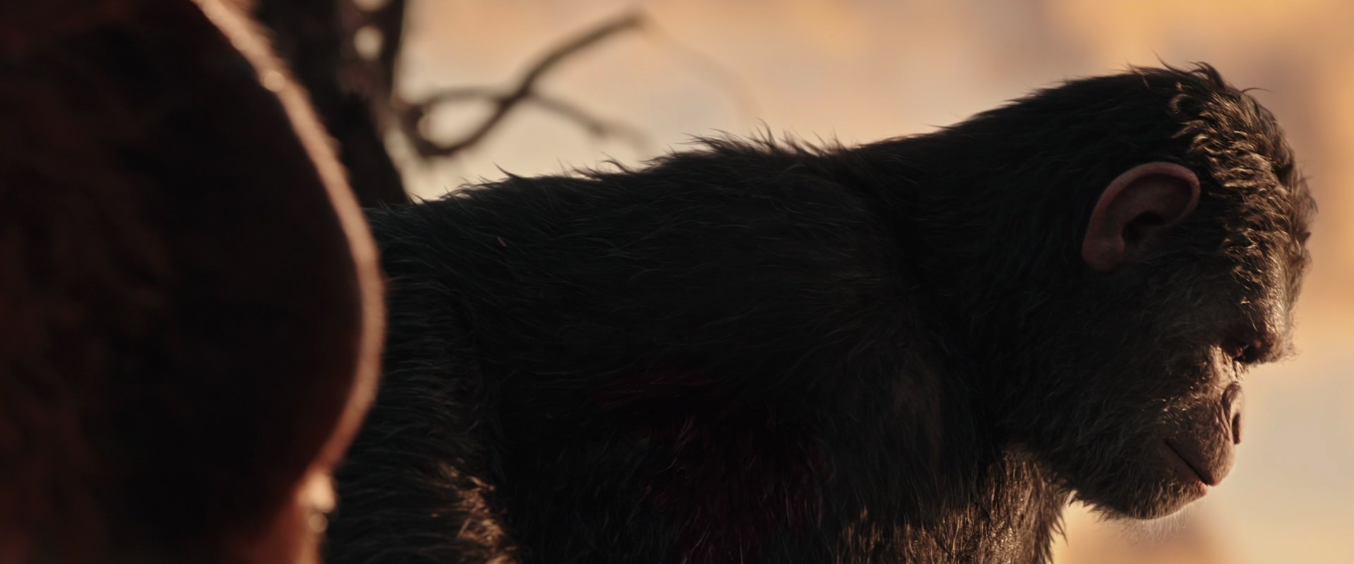 War for the Planet of the Apes (2017) movie still 15490