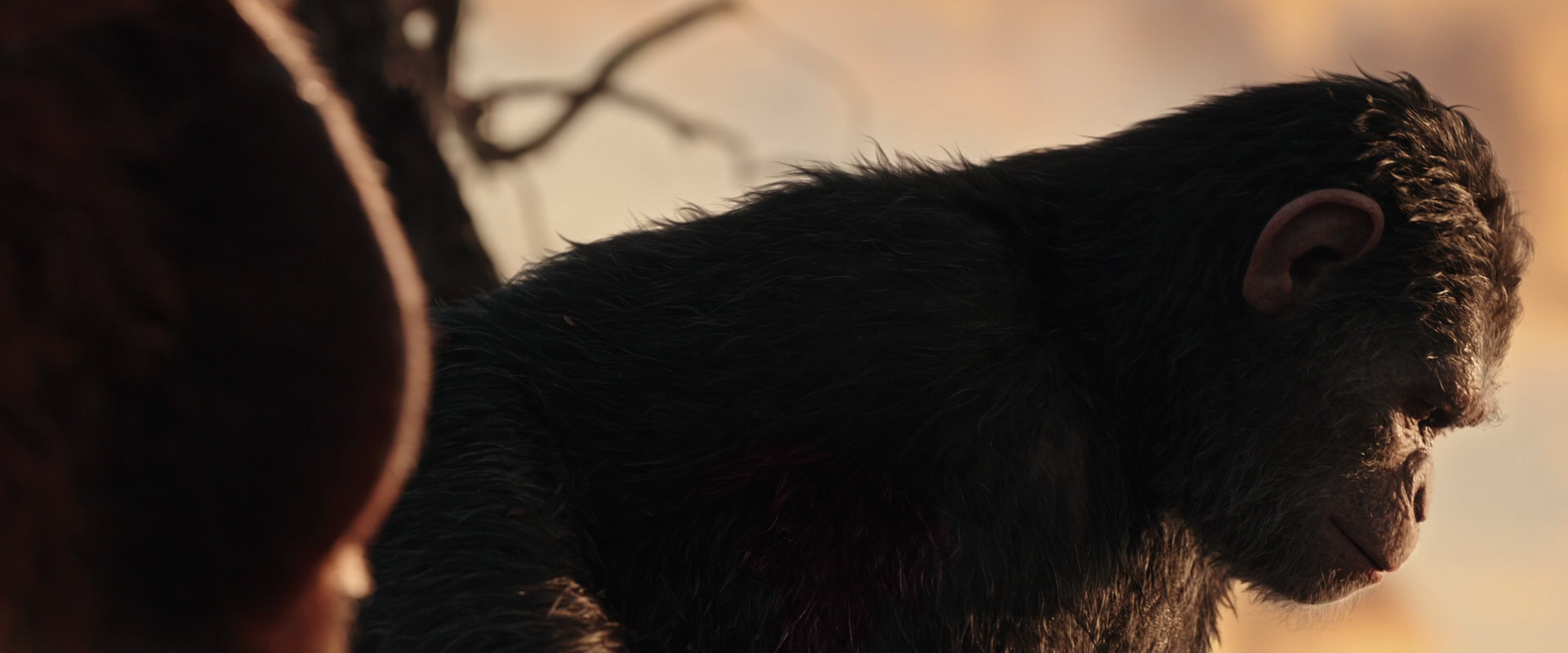 War for the Planet of the Apes (2017) HD screenshot 15491