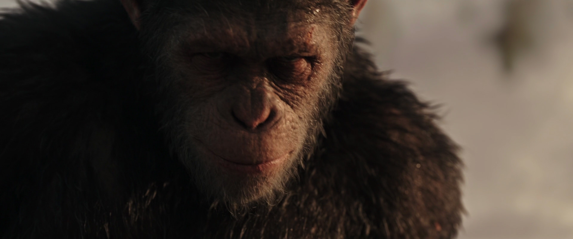 War for the Planet of the Apes (2017) movie still 15493
