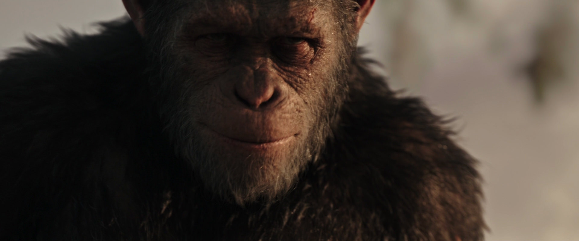 War for the Planet of the Apes (2017) HD screenshot 15494