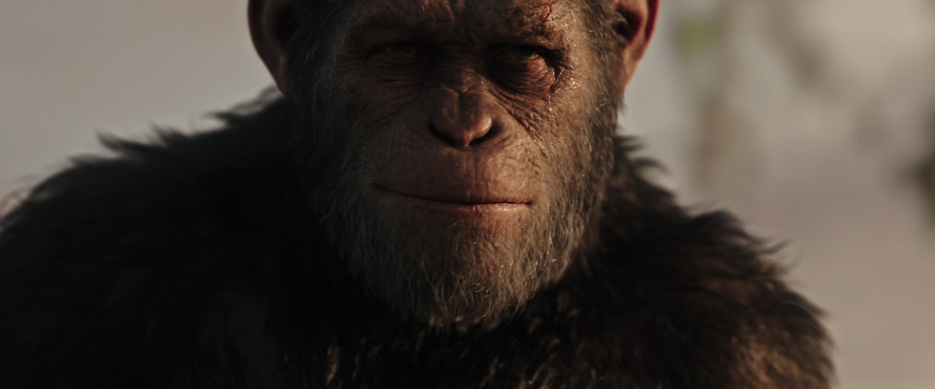 War for the Planet of the Apes (2017) screencap 15495